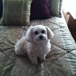 Meet your Posher, Debbie